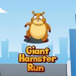 Giant Hamster Run 